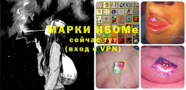прущие грибы Армянск