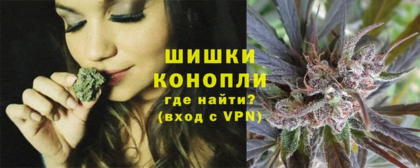 прущие грибы Армянск