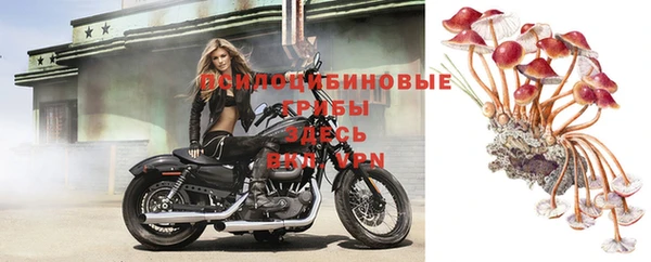 мет Арсеньев
